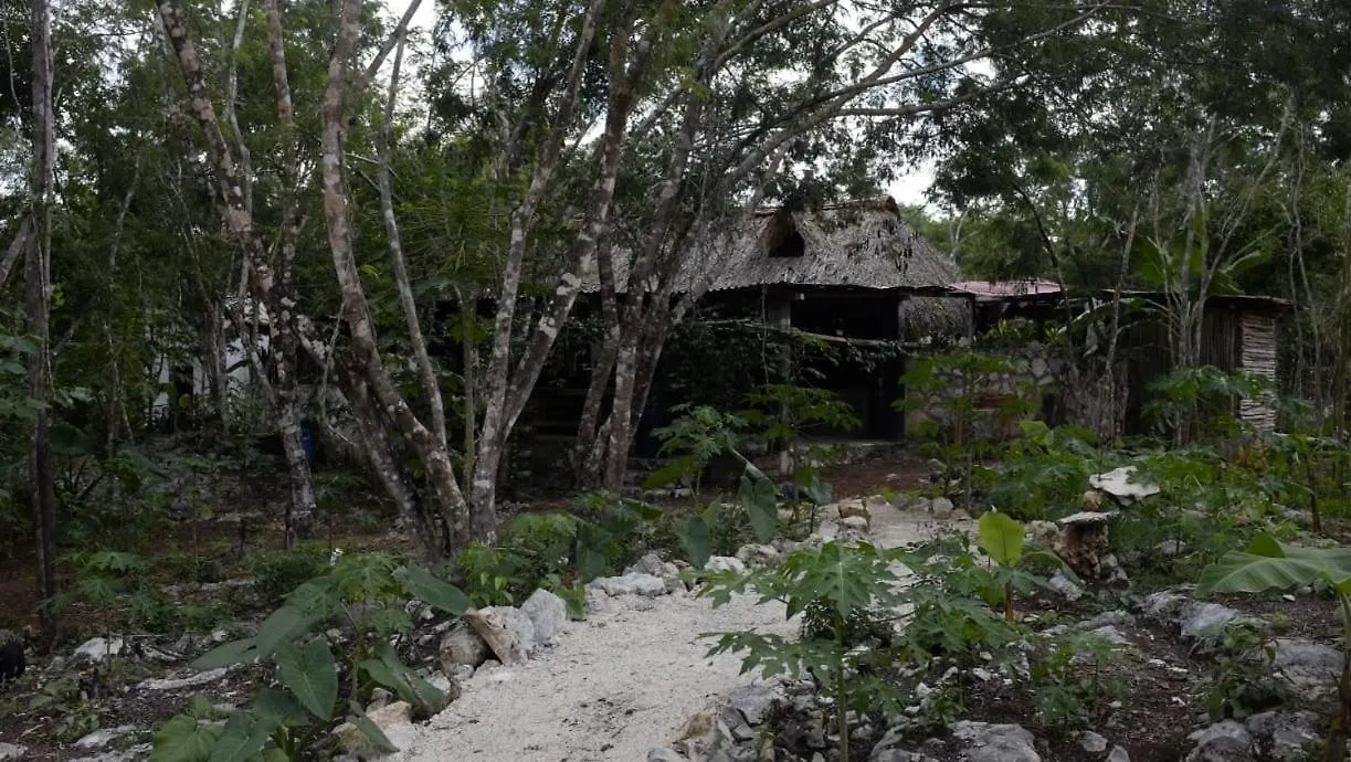 Ecolodge Uh May Francisco Uh May 0*,  Mexico