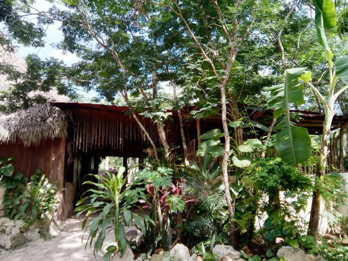 Holiday park Ecolodge Uh May Francisco Uh May